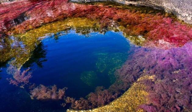 Caño Cristales