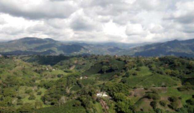 Cultivos en el Departamento del Quindío
