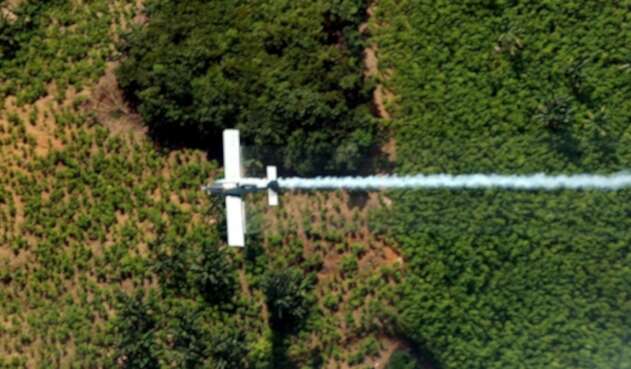 Fumigación aérea de cultivos ilícitos en Tumaco (Nariño)