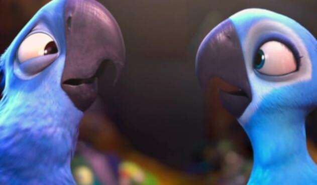 Guacamayos azules en la película Río Guacamayos azules en la película Río