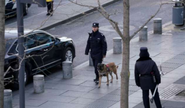 Policía China