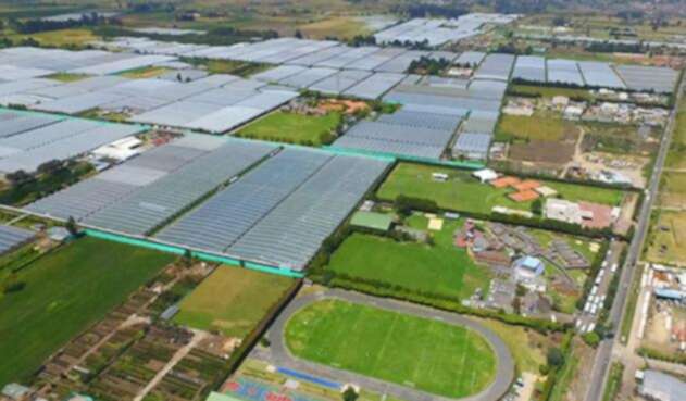 Reserva Van der Hammen