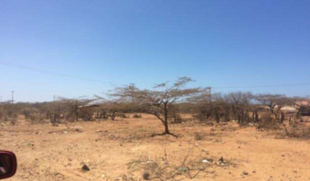 La Guajira. Fenómeno de El Niño.