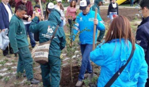 Siembra de árboles en Bogotá