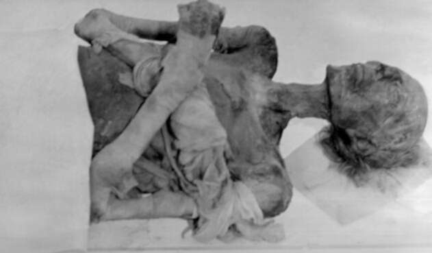 faraón egipcio Ramsés II