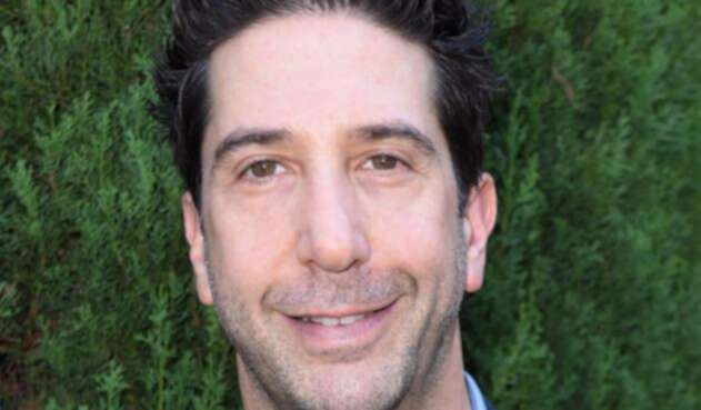 David Schwimmer David Schwimmer