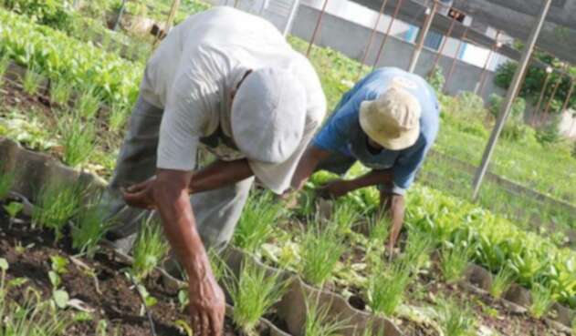 Agricultores