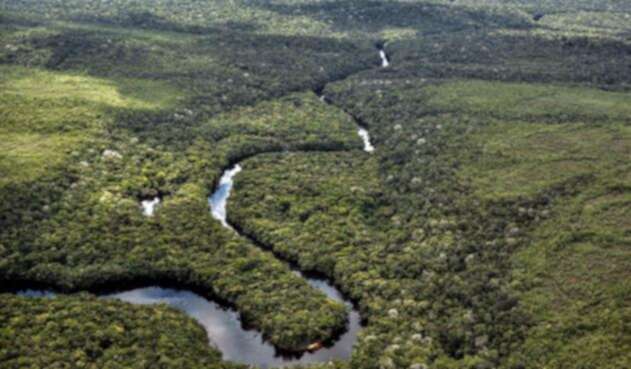 Deforestación en la Amazonía Deforestación en la Amazonía