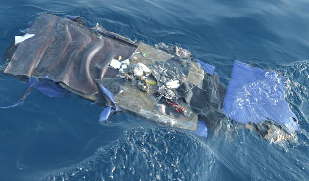 Los 189 ocupantes del avión murieron en el impacto.