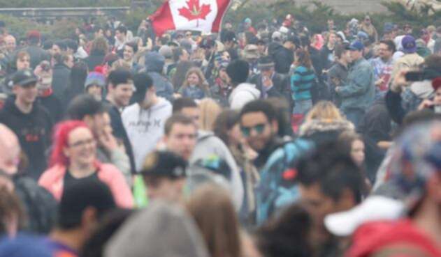 Consumidores de marihuana en Canadá
