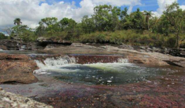 Caño cristales Caño cristales