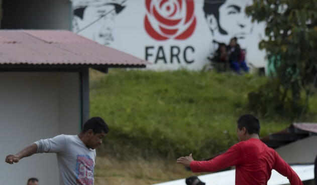 Francia formará como guías forestales a antiguos combatientes de las Farc.