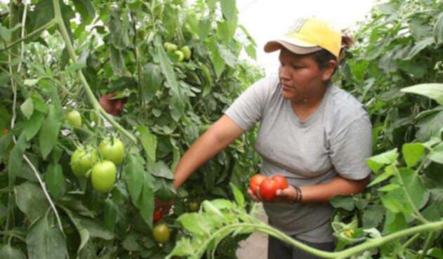 Mujeres campesinas Mujeres campesinas