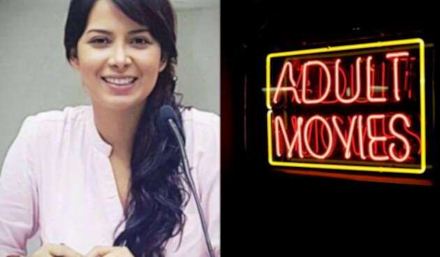 La diputada Ángela Hernández lanzó fuertes críticas a la industria de la pornografía.