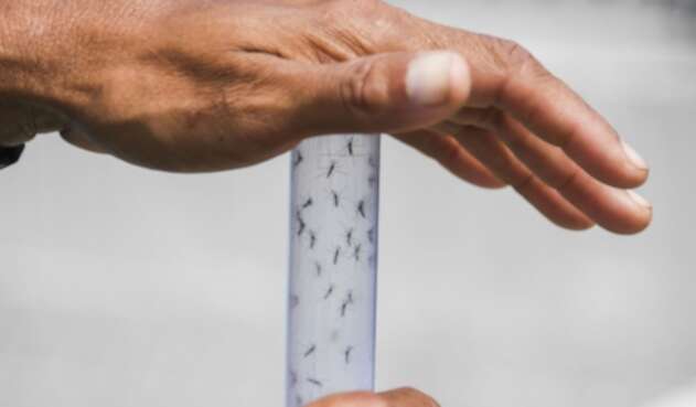 Zika