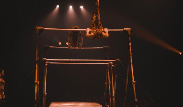 Circo del sol -Amaluna