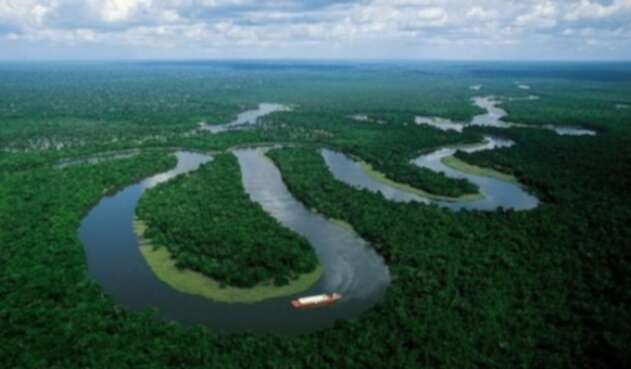 Se han lanzado varios SOS por la protección de la Amazonía.