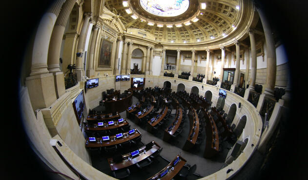 En el Congreso la ministra ha liderado varios proyectos de ley y reformas constitucionales.