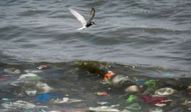Mar contaminado de plástico Mar contaminado de plástico