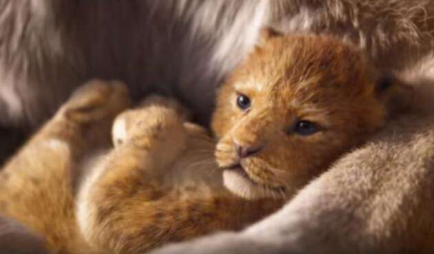 El rey León