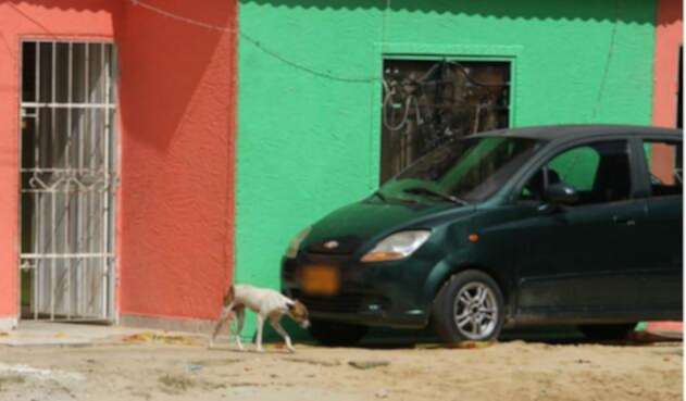 Ladrón que iba a robar un carro se quedó dormido Ladrón que iba a robar un carro se quedó dormido