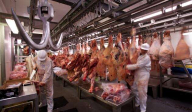 Producción excesiva de carne
