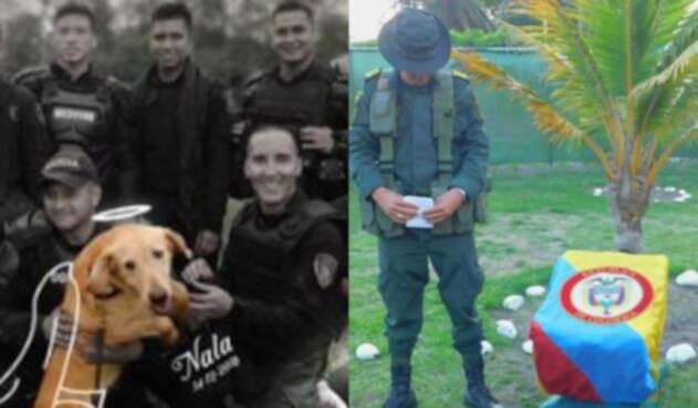 Despedida de Nala
