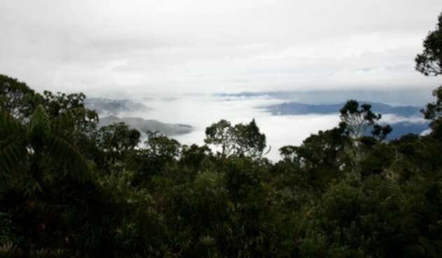 Eco parques