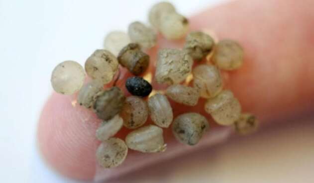 Se analiza ahora el impacto del microplasticos en los seres humanos.
