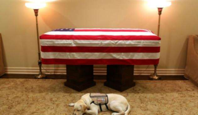 Sully, el perro de George H. W. Bush