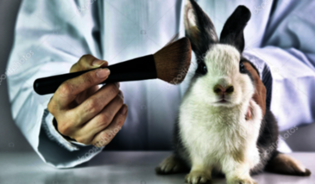 Colombia sería el primer país de América Latina en eliminar el uso de animales en laboratorio
