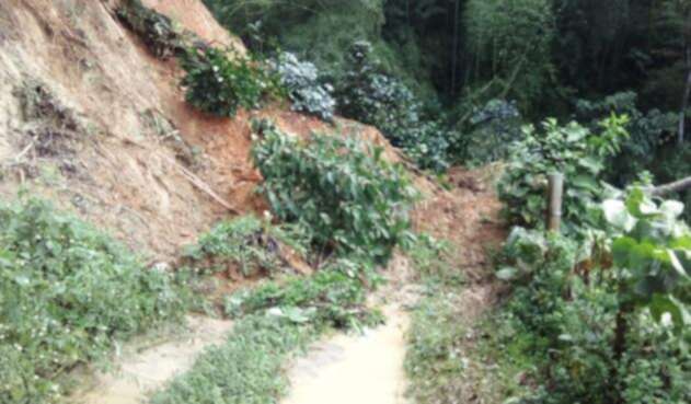 Tragedia en escuela de Calarcá Tragedia en escuela de Calarcá (Quindío) 7