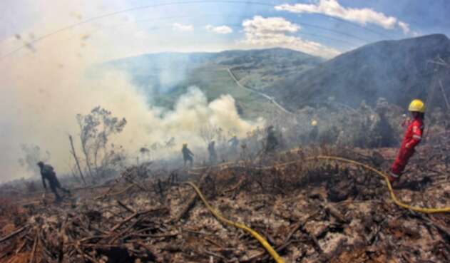 Incendio forestal. Imagen de referencia. Incendio forestal. Imagen de referencia.