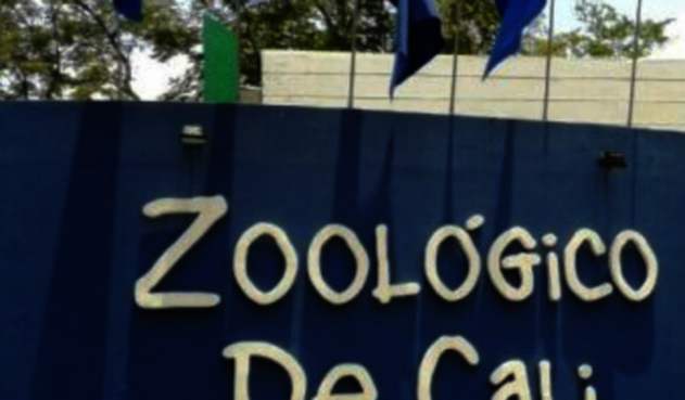 Zoológico de Cali no dejó comer en sus instalaciones a niños en condición de discapacidad