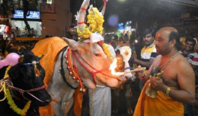 Festival Makar Sankaranti