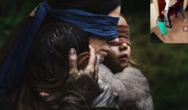Bird Box