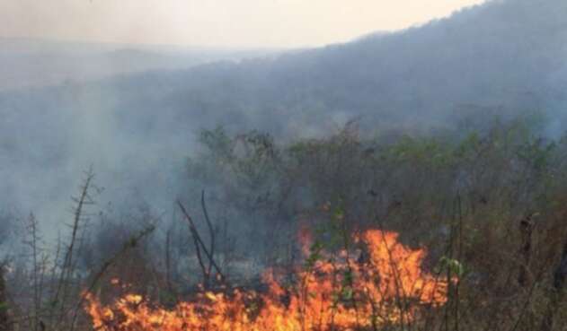 Los incendios han sido controlados por los bomberos.