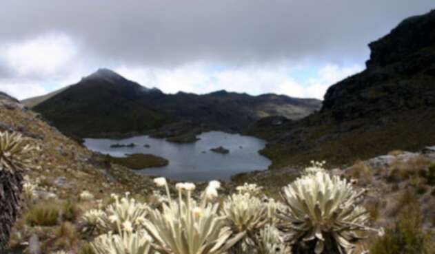 Posible explotación minera en Soto Norte