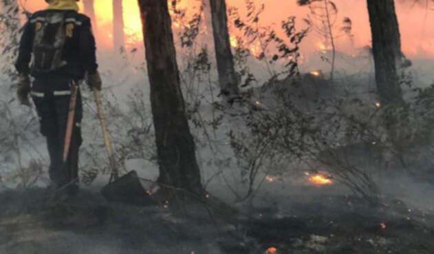 Un gigantesco incendio, ocasionado por pirómanos, se registra a esta hora en el cerro Quitasol de Bello