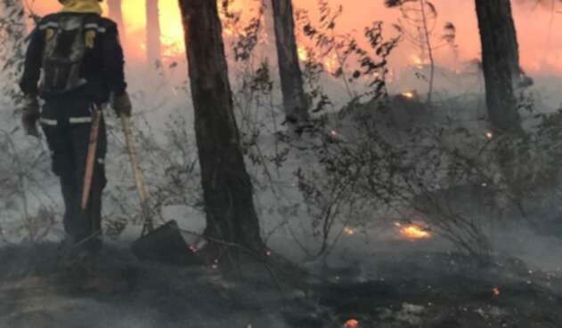 Un gigantesco incendio, ocasionado por pirómanos, se registra a esta hora en el cerro Quitasol de Bello