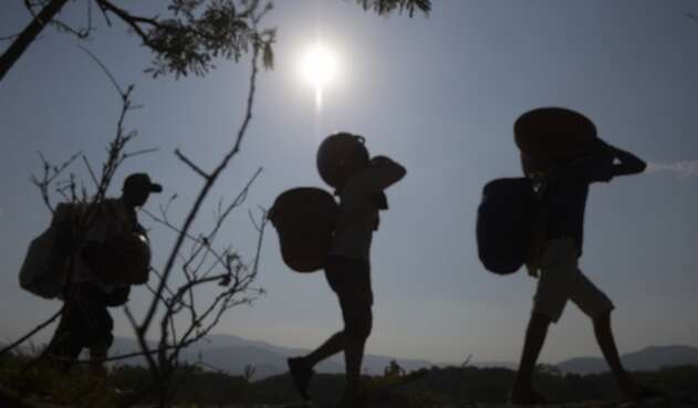 Trochas en la frontera entre Colombia y Venezuela, en Norte de Santander