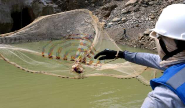 La crisis ha afectado el río Éufrates.