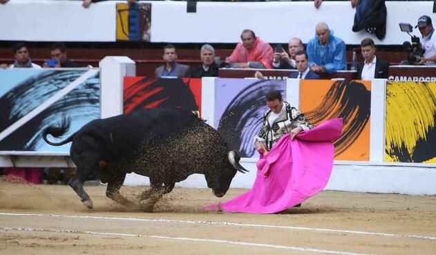 Toros RCN