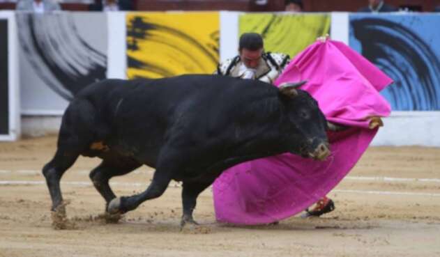 Toros RCN
