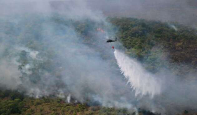 Incendio forestal Incendio forestal