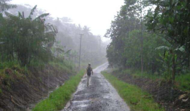 Contaminación