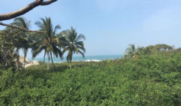 En 2020 será entregada la concesión para administrar por 23 años los recursos ecoturísticos del Parque Nacional El Tayrona.