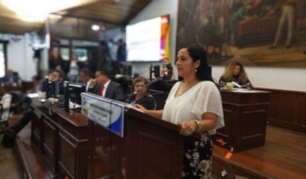 Concejal del Polo democrático Xinia Navarro