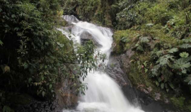 Agua