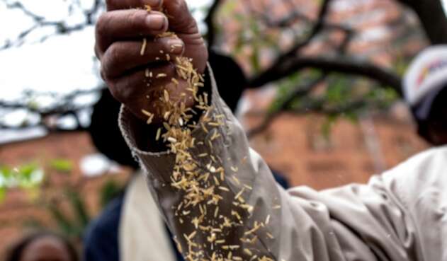 Se buscan salidas para aumentar la productividad y la generación de ingresos para el campo.